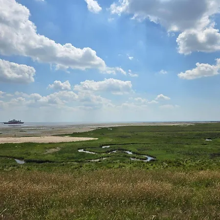 5 Star Holiday Home In Romo Ferienhaus Rømø Kirkeby